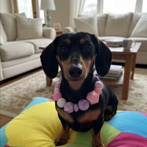 Handmade XXS Beaded Dog Collar in Pink, Purple, & White, Size 7.5”